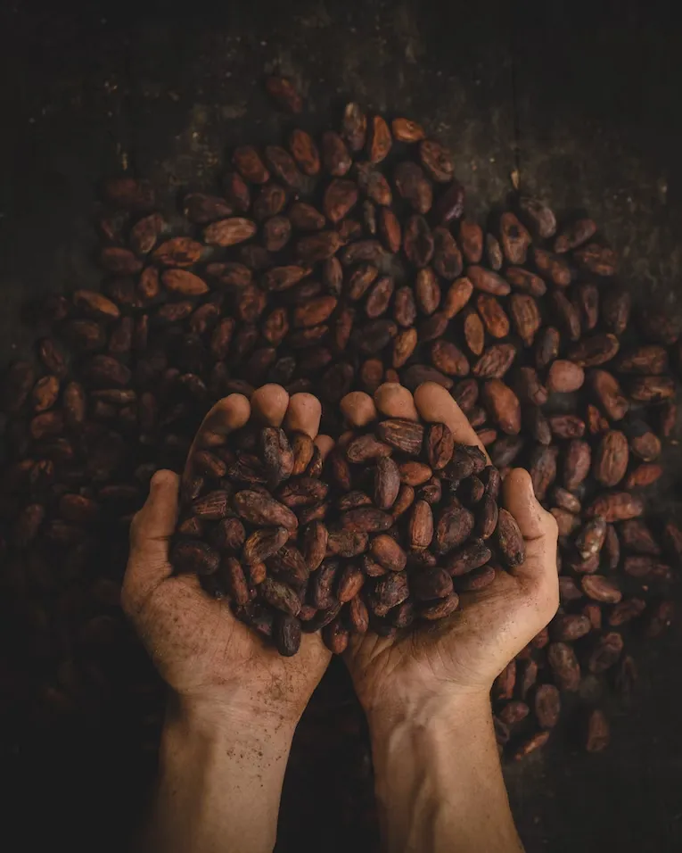 Image de Ethiopian Yirgacheffe