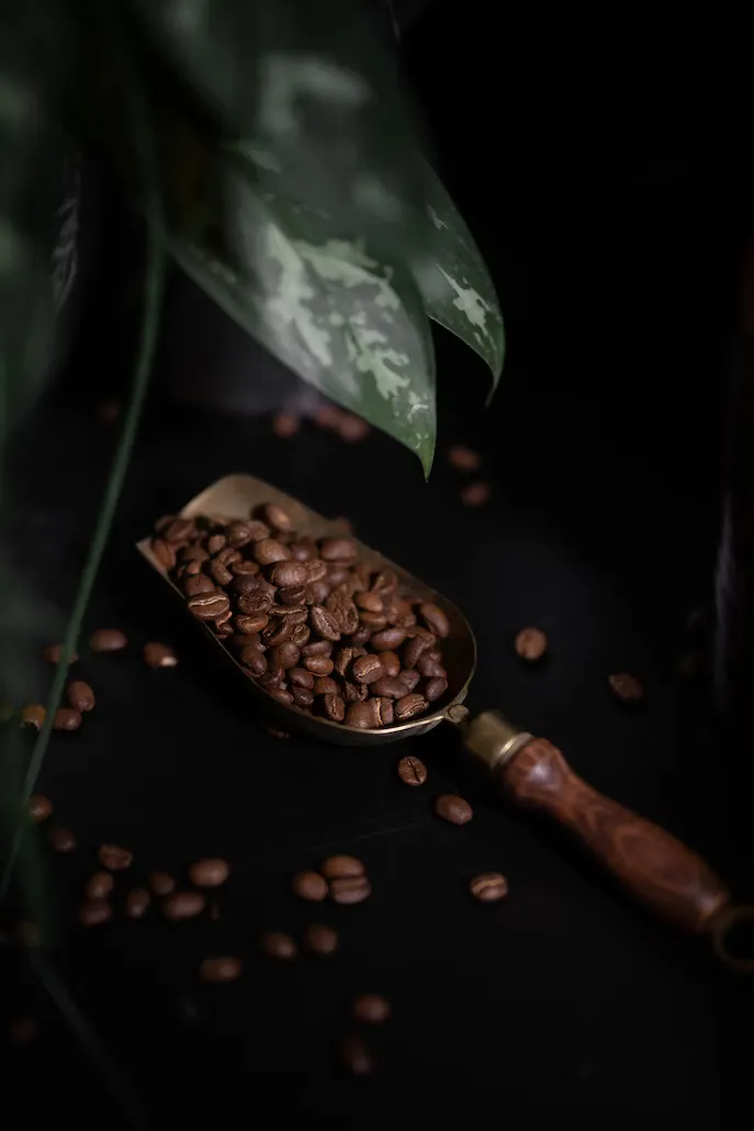 Image de Tanzanian Peaberry